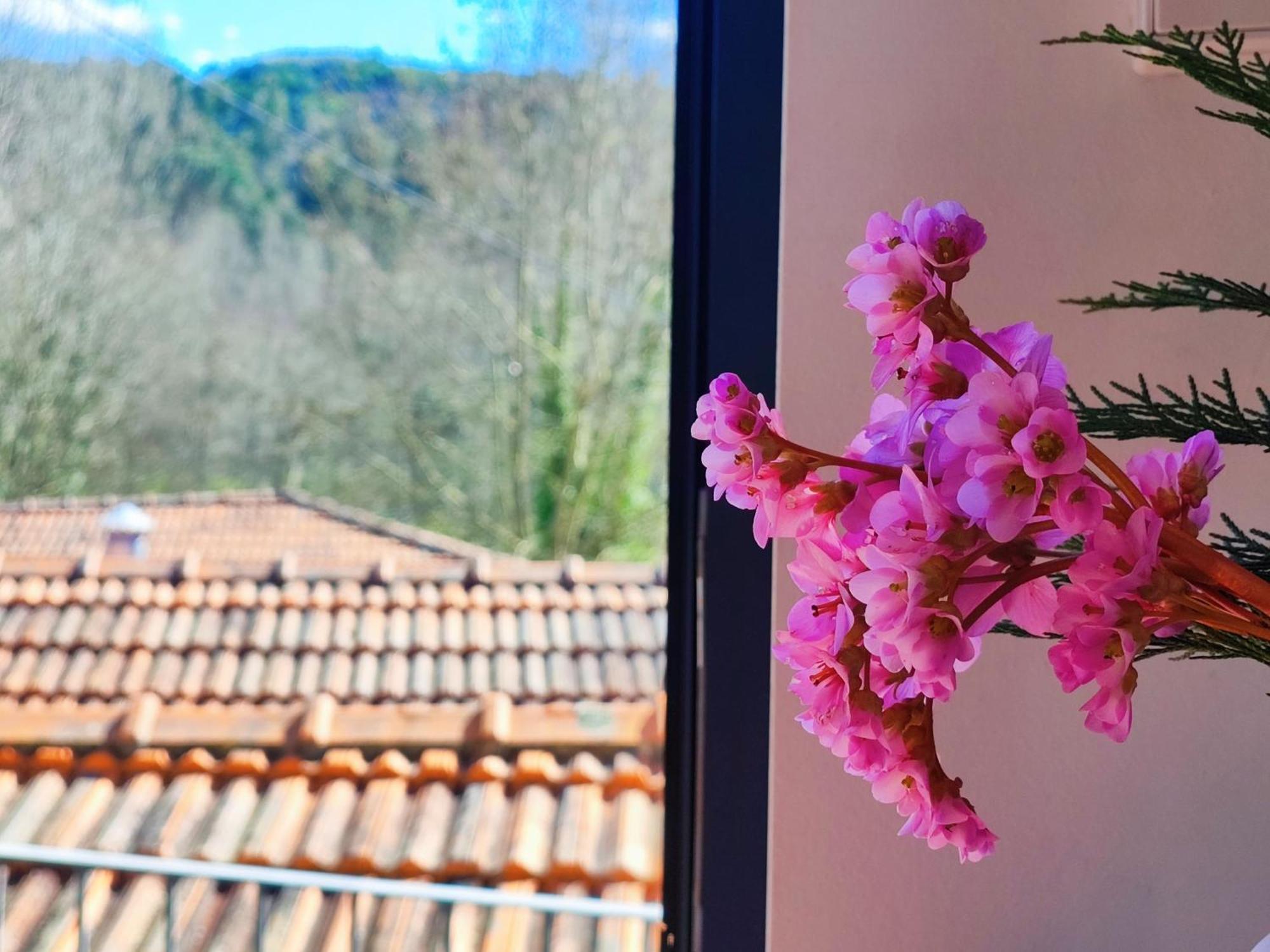 Agroturismo Quinta De Travancela Amarante Exterior foto