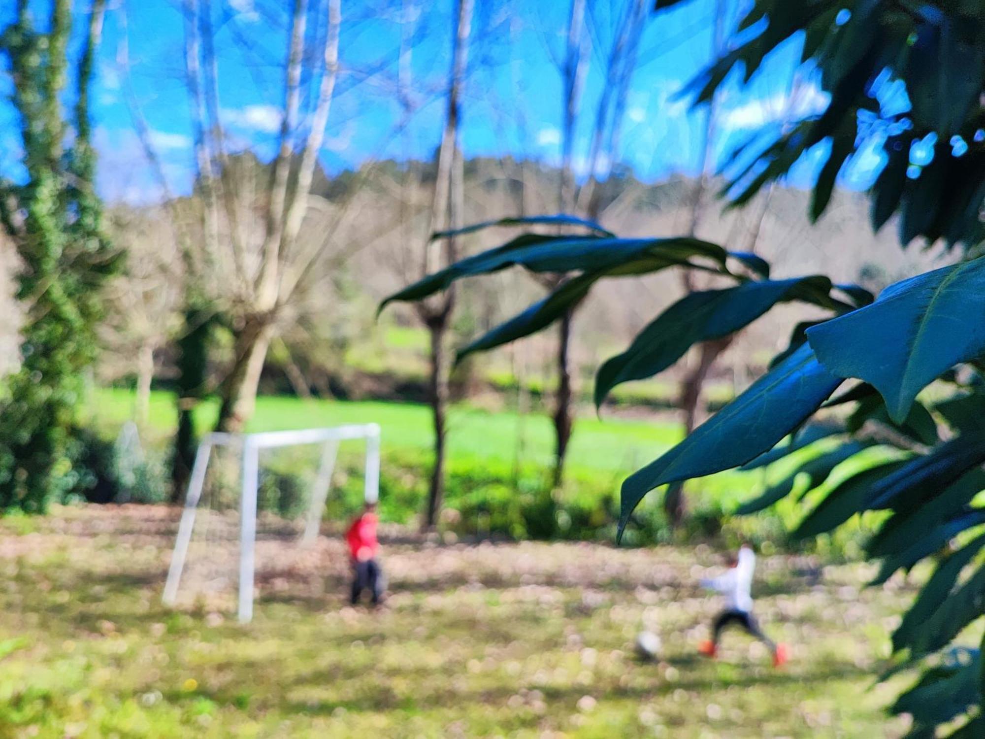 Agroturismo Quinta De Travancela Amarante Exterior foto